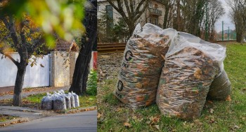 Megkezdődött a 2023. évi kerti zöldhulladék-begyűjtés Budapesten